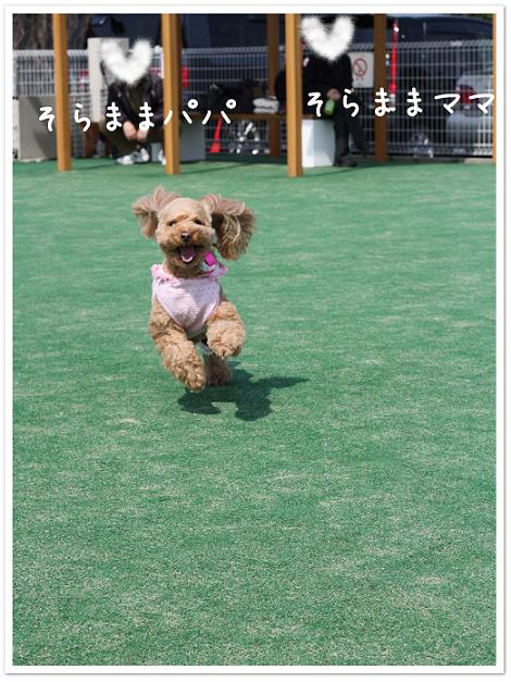 うれしそう～♪