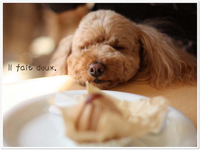 穏やかな天気です