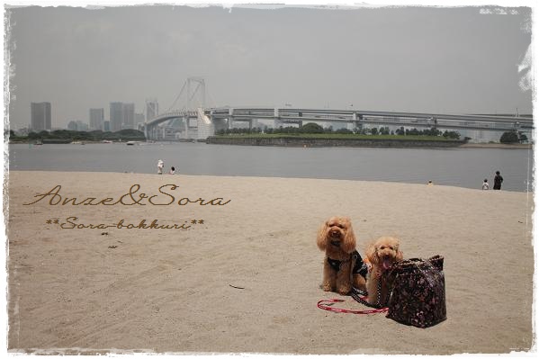 杏ちゃんとそら