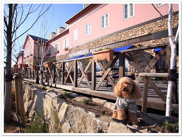 花園フォレスト