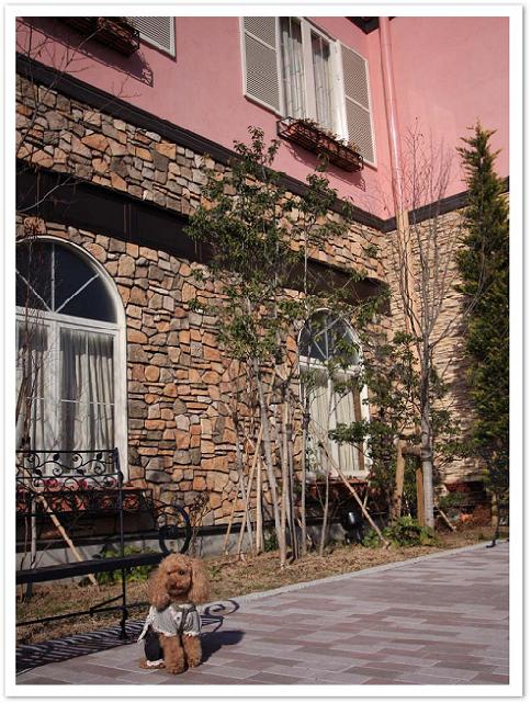 花園フォレスト