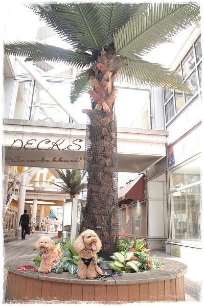 デックス東京ビーチ