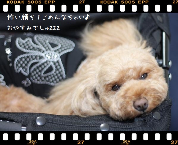 おやすみでしゅ