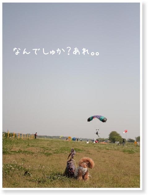 なんでしゅか？あれ