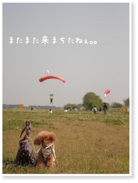 またまたきまちた