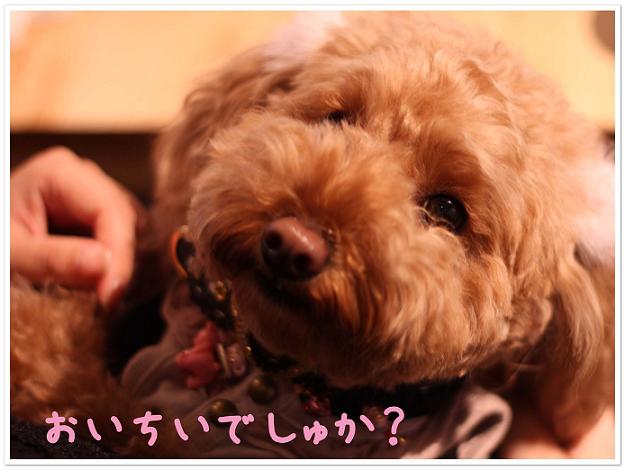 おいちいでしゅか？