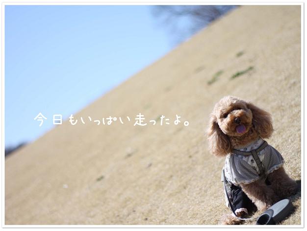 いっぱい走ったよ