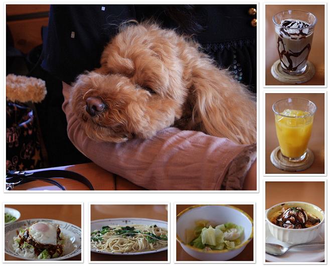 カフェで一休み