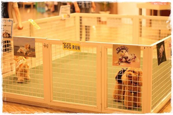 ミニミニドッグラン