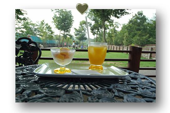 フローズンマンゴー