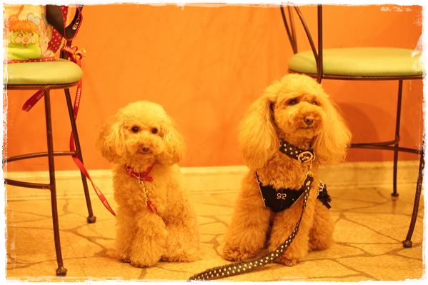 杏ちゃん＆そら