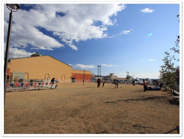 那須ﾄﾞｯｸﾞﾗﾝ