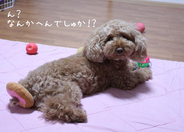 へんでしゅか？