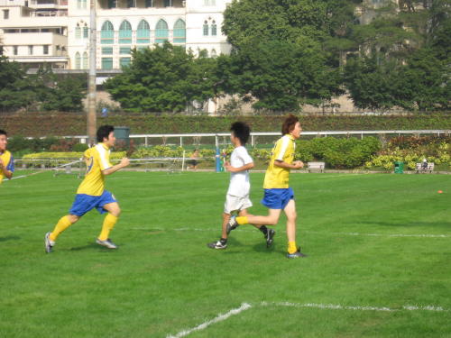 IMG_2336 (2).JPG