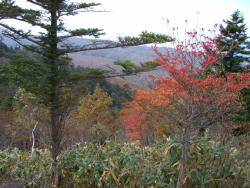 hCIMG0923.JPG