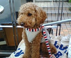 6 (mypic.vnt 中) をコピー.jpg