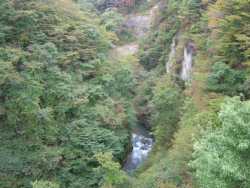 sCIMG0887.JPG