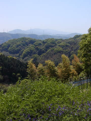 明日の山