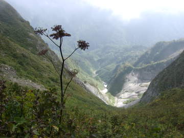 ふりかえれば２