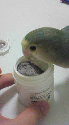 小鳥の健康食品