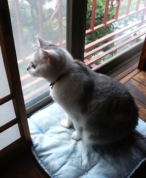 P1000010.JPG