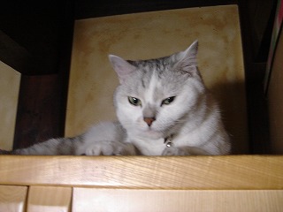 DSC04216.jpg