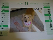 ラムカレンダー