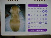 ラムカレンダー