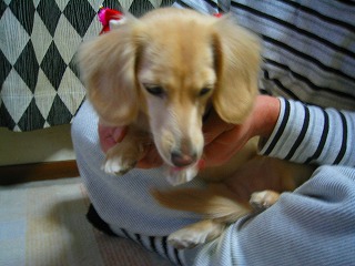 今年もよろしくでしゅ