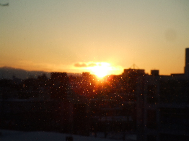 【勝率100％の投資術】