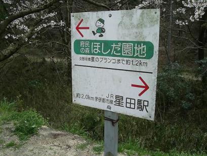 50PIC_0022.JPG