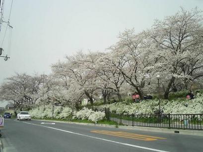 50PIC_0040.JPG