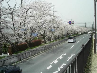 50PIC_0011.JPG