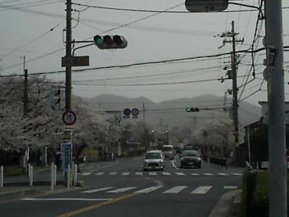 50妙見口から生駒望遠.JPG