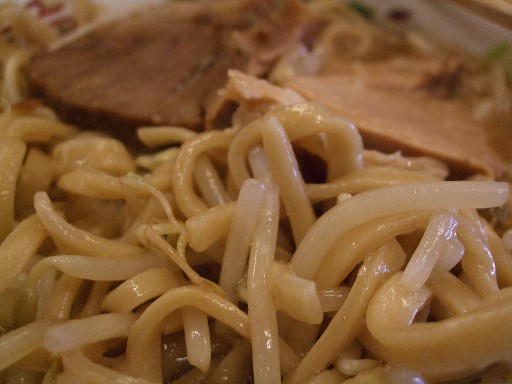 島系2008-08アップ