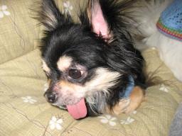 2007-03-01 16:55:41
