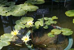 IMG_0282.jpg