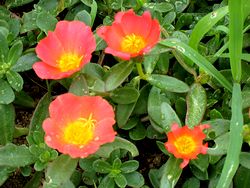 IMG_9759.jpg