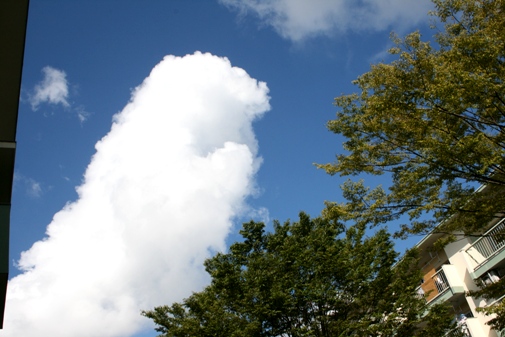 空-1.jpg