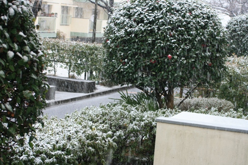 降雪-1.jpg