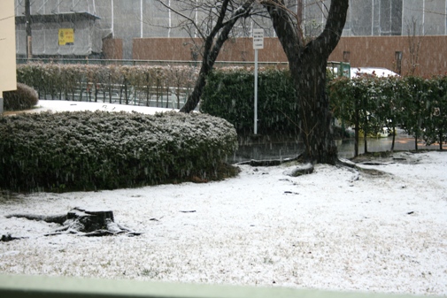 降雪-2.jpg