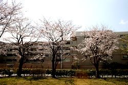 IMG_1437.jpg