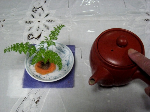 人参-2.jpg