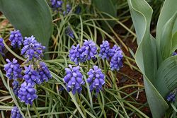 IMG_0379.jpg