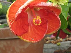 IMG_9742.jpg