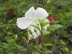 IMG_9746.jpg
