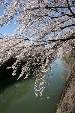 IMG_1565.jpg