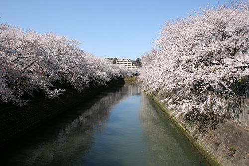 IMG_1569.jpg
