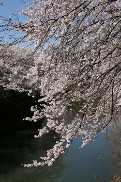 IMG_1576.jpg