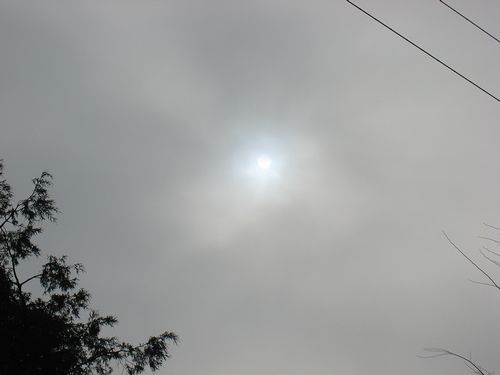 ４日の太陽.jpg